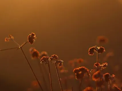 Gratitude Practice To Close The Day - 4 Minutes