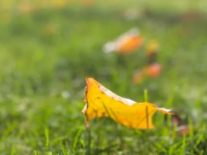 Gratitude Practice To Shift Your Mindset