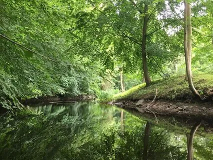 Gratitude Prayer For Mother Nature