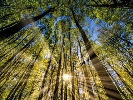 Gratitude Prayer To The Soul