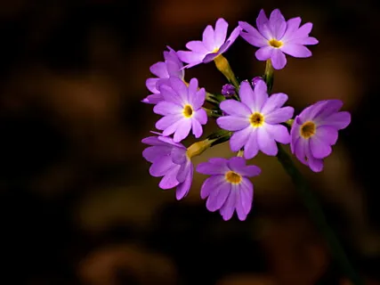 Gratitude: Recognizing The Blessings Of Life