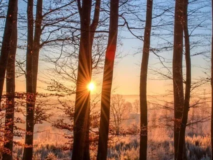 Gratitude Retreat Music For Anxiety Relief