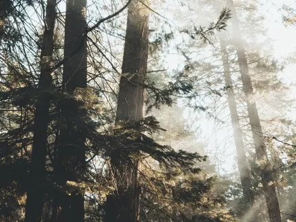 Gratitude Retreat Music For Focus