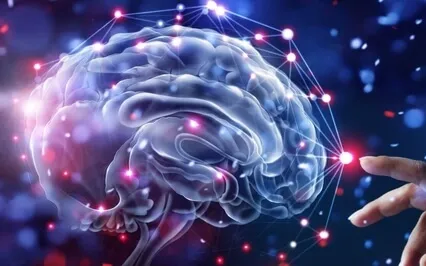 Gratitude: Rewiring The Brain