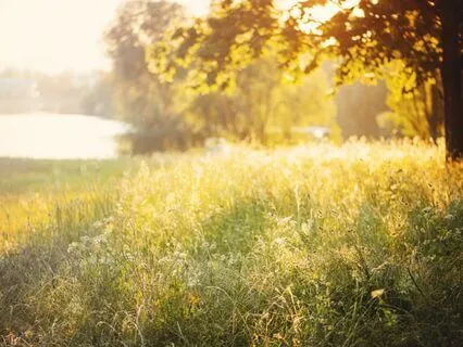 Gratitude Serenity: Music For Inner Peace