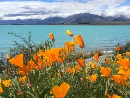 Gratitude - Shifting Out Of Negativity Bias