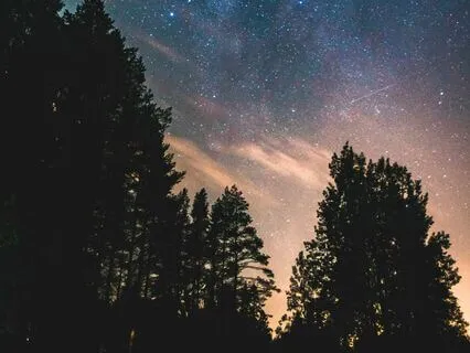 Gratitude Sleep: Peaceful Nights