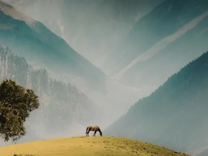 Gratitude Talk For Shifting Fear Into Peace