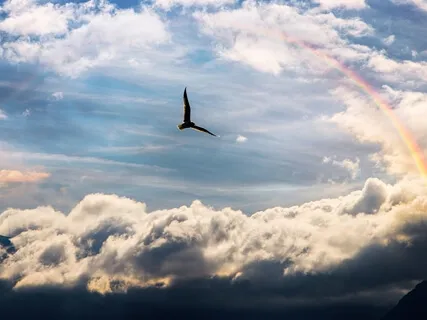 Gratitude - The Miracle Mantra