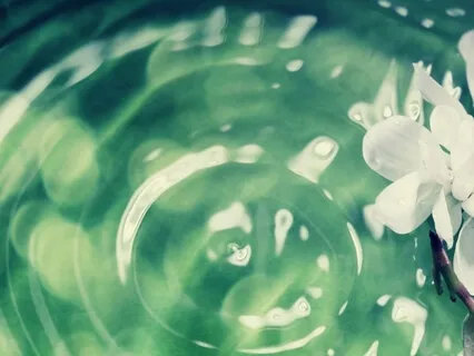 Gratitude To My Being