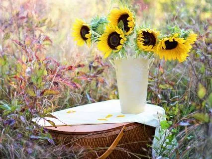 Gratitude Towards The Future (+10 Mins Silence)