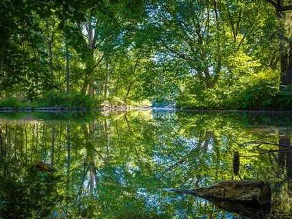 Gratitude Tunes: Harmonies Of Happiness