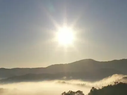 Gratitude Unveiled: A Prayer of Thankfulness