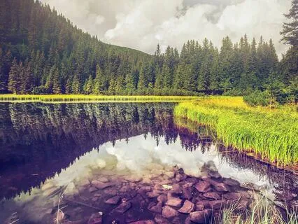 Gratitude Vibes: Unlock Your Calm