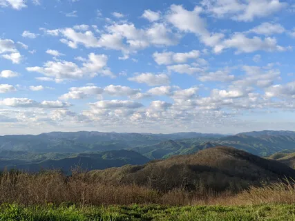 Gratitude Visualization 