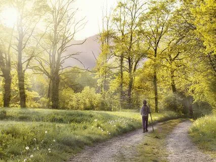 Gratitude Walking Meditation