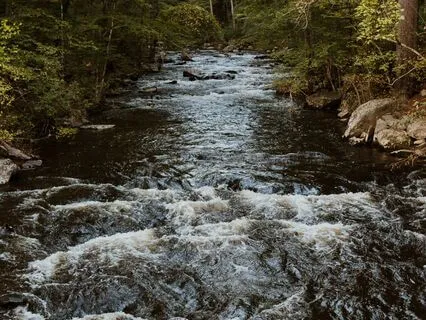 Gratitude Waves: Feel The Blessings Flow