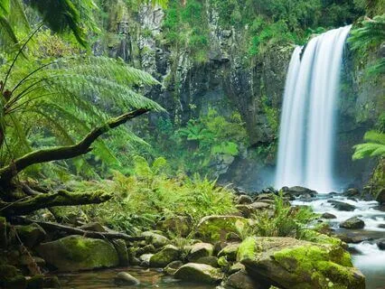 Gratitude: What Are You Grateful For Today?