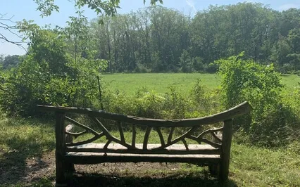 Gratitude Yoga Nidra