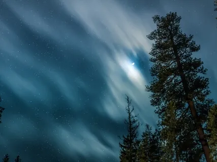 Gratitude Yoga Nidra / Thank You