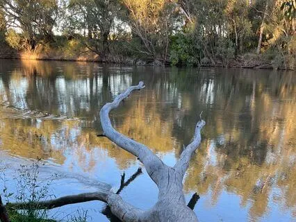Gratitude Yoga Nidra