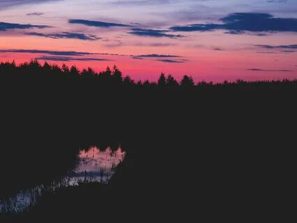 Great Bear Rainforest | Gentle Reading For Sleep