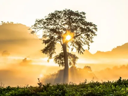 Great Day Morning Meditation