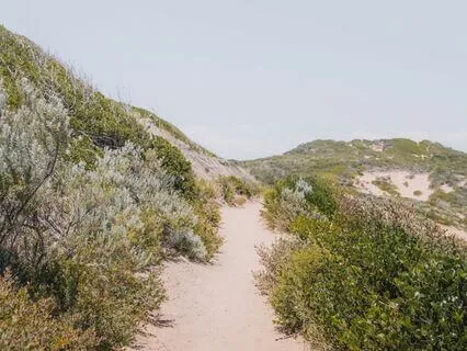 Great Expectations - Poem