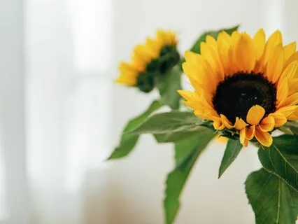 Great Start (Morning) | Positive Vibes & Groovy LoFi Beats