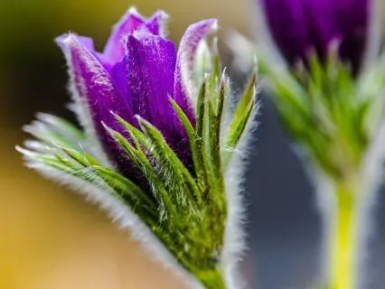 'Great Things Will Happen Today' - Mini Morning Meditation