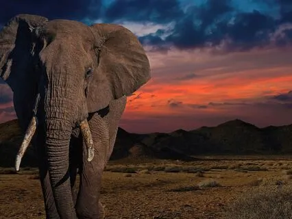 Greater Perspective Affirmations