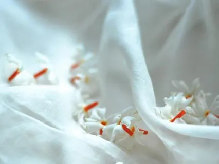 Green: Broken But Beautiful