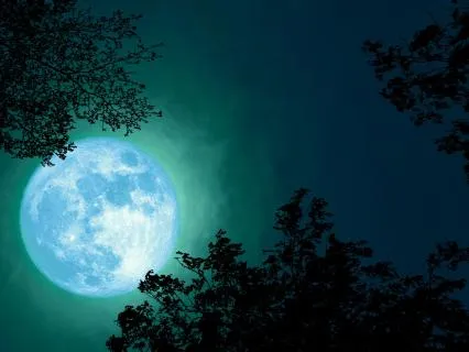 Green & Brown Noise For Sleep + 0.5Hz Delta Waves | 10 HOURS