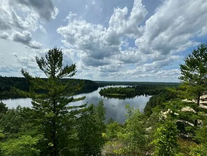 Green Earth Energy: Somatic Resourcing To Ground & Rebalance