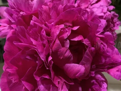 Green-Eyed Monster Meditation