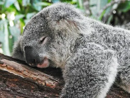 Green Noise For Sleep | With Delta Brainwave Entrainment