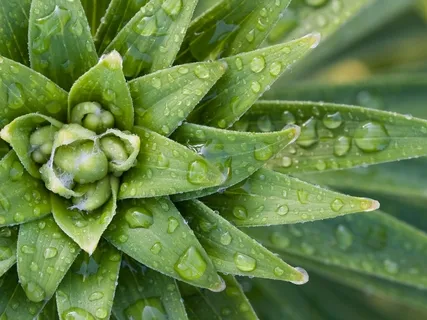 Green Session For Anxiety And Stress Relief