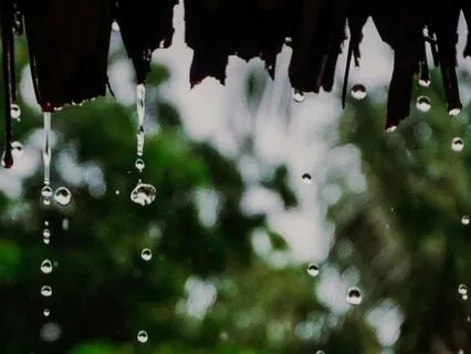 Green Noise With Relaxing Rainfall