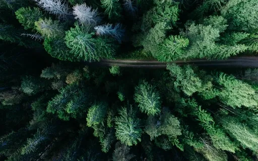 Green Tara Mantra For Wish Fulfilments