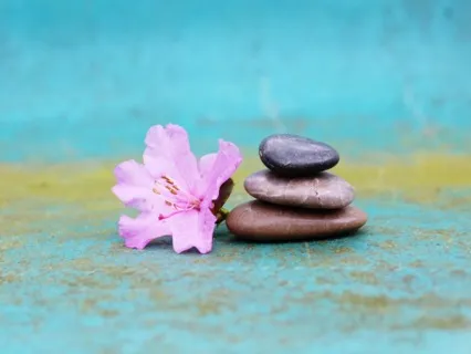 Green Tea Meditation