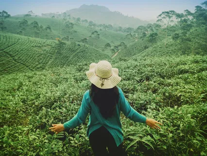 Green Tea: Relaxing Music