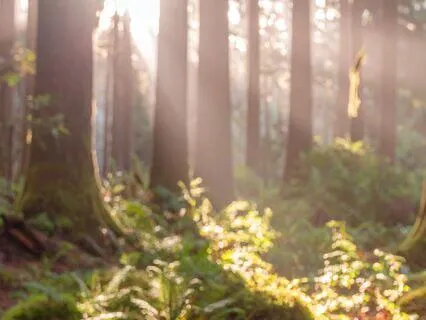 Greet The Day - Morning Meditation & Intention Setting