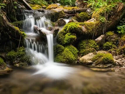 Greet The Day -- With Gratitude