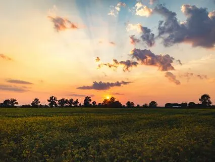 Greeting The Dawn: A 7-Minute Morning Meditation