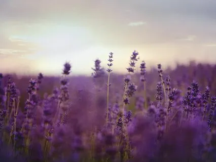 Greeting Your Day With Love Energy