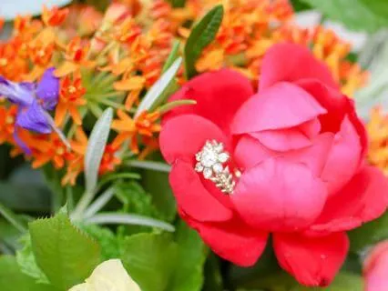 Greeting Yourself With Kindness Today