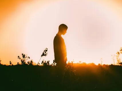 Grey Noise Gratitude