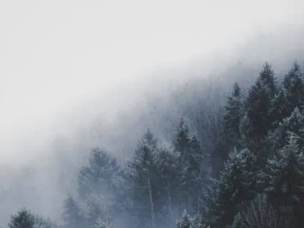 Grey Noise Grey Noise Calm