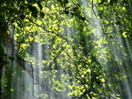 Grief: A Journey Of Peace And Acceptance