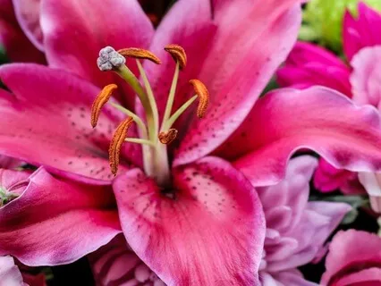 Grief Acknowledgement Meditation